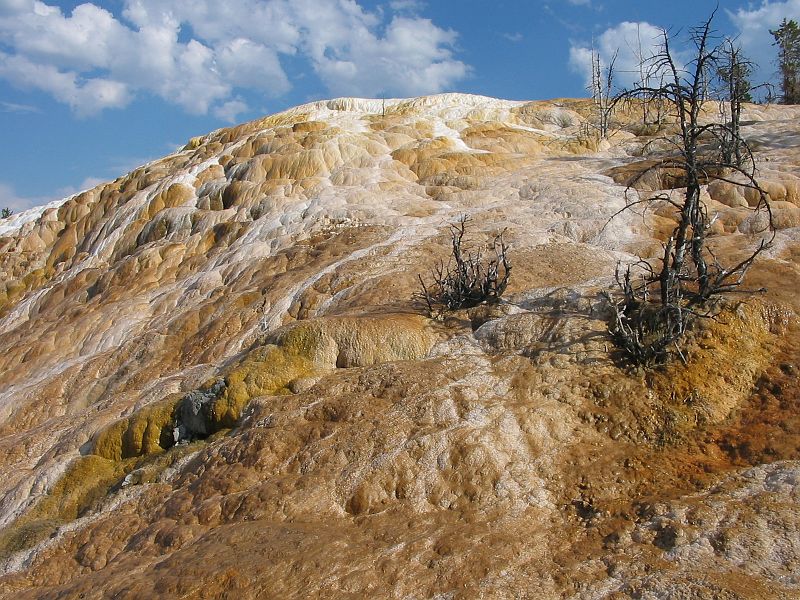 yellowstone14.JPG