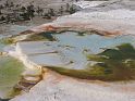 yellowstone17