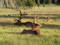 yellowstone5c