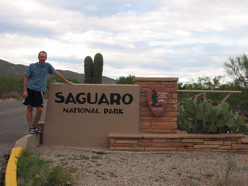 saguaro01.JPG