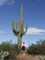 saguaro06